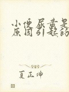 小便尿黄是什么原因引起的