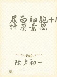 尿白细胞+1是什么意思