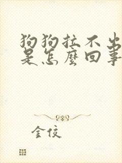 狗狗拉不出来尿是怎么回事