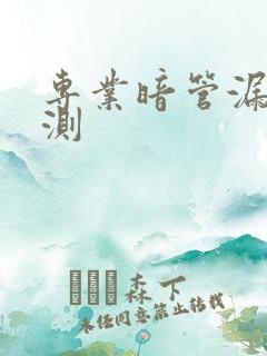 专业暗管漏水检测