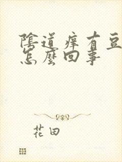 阴道痒有豆腐渣怎么回事