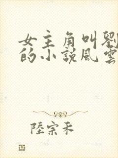 女主角叫刘穆薇的小说风云纵横