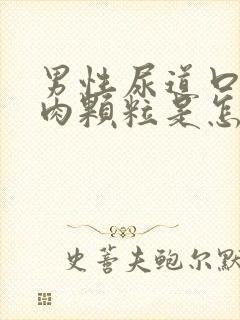 男性尿道口长小肉颗粒是怎么回事