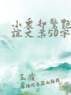 小众却惊艳的友谊文案50字