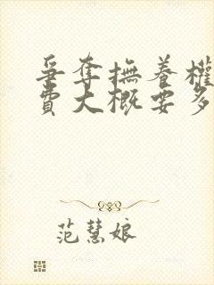 争夺抚养权律师费大概要多少钱