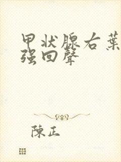 甲状腺右叶点状强回声