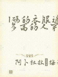 l码的衣服适合多高的人穿