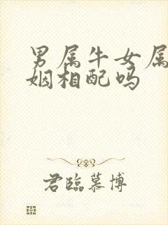 男属牛女属马婚姻相配吗