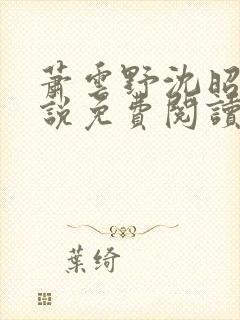 萧云野沈昭宁小说免费阅读最新章节