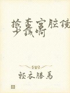 检查宫腔镜要多少钱啊