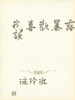 我喜欢暴露的小说