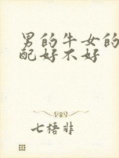 男的牛女的虎婚配好不好