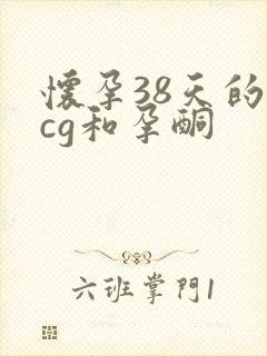 怀孕38天的hcg和孕酮