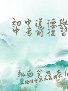 初中道德与法治中考前复习计划