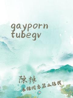 gayporntubegv
