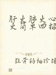 肝火肺火心火胃火简单四招