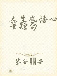 人生感悟心情随笔短句