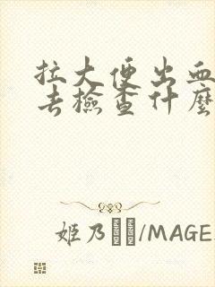 拉大便出血应该去检查什么