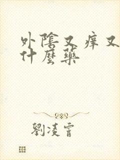 外阴又痒又疼吃什么药