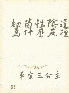 细菌性阴道发炎为什么反复发作