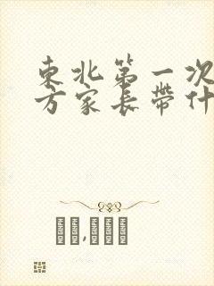 东北第一次见女方家长带什么