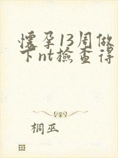 怀孕13周做一下nt检查得多少钱