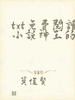 txt免费阅读小说神王的宠妃