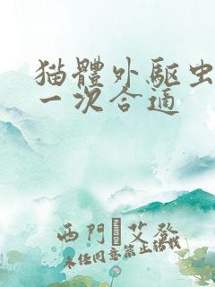 猫体外驱虫多久一次合适