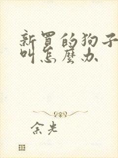 新买的狗子一直叫怎么办