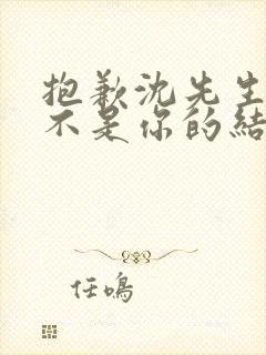 抱歉沈先生孩子不是你的结局