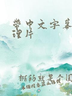 带中文字幕的伦理片