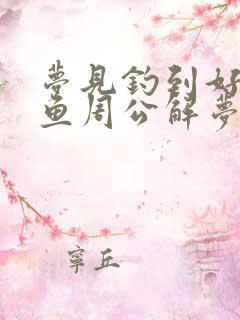 梦见钓到好多大鱼周公解梦