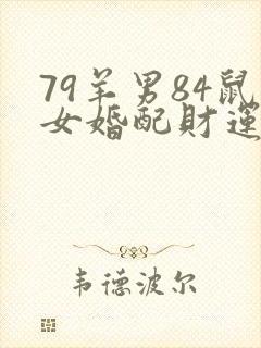 79羊男84鼠女婚配财运