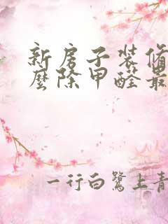 新房子装修用什么除甲醛最好