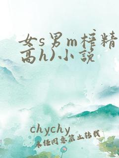 女s男m榨精(高h)小说