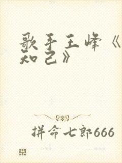 歌手王峰《红颜知己》