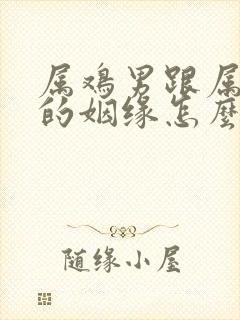 属鸡男跟属兔女的姻缘怎么样