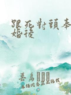 跟死对头奉子成婚后