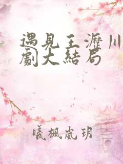 遇见王沥川电视剧大结局