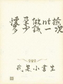 怀孕做nt检查多少钱一次