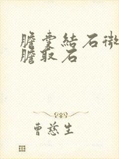 胆囊结石微创保胆取石