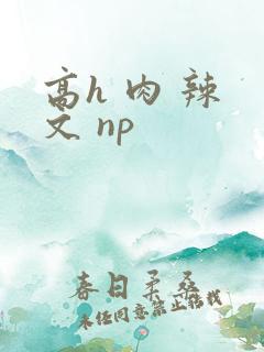 高h 肉 辣 文 np