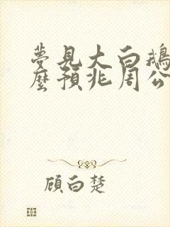 梦见大白鹅是什么预兆周公解梦