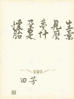 怀孕梦见生双胞胎是什么意思