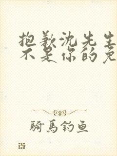 抱歉沈先生孩子不是你的免费看