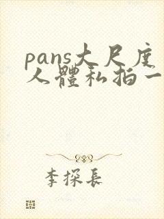 pans大尺度人体私拍一区