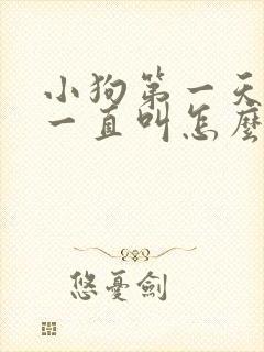 小狗第一天到家一直叫怎么办