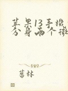 苹果13手机能分身两个微信吗