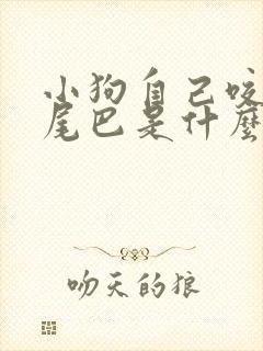 小狗自己咬自己尾巴是什么原因