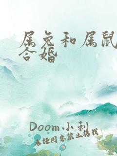 属兔和属鼠合不合婚